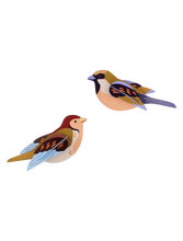 Load image into Gallery viewer, Sparrows
