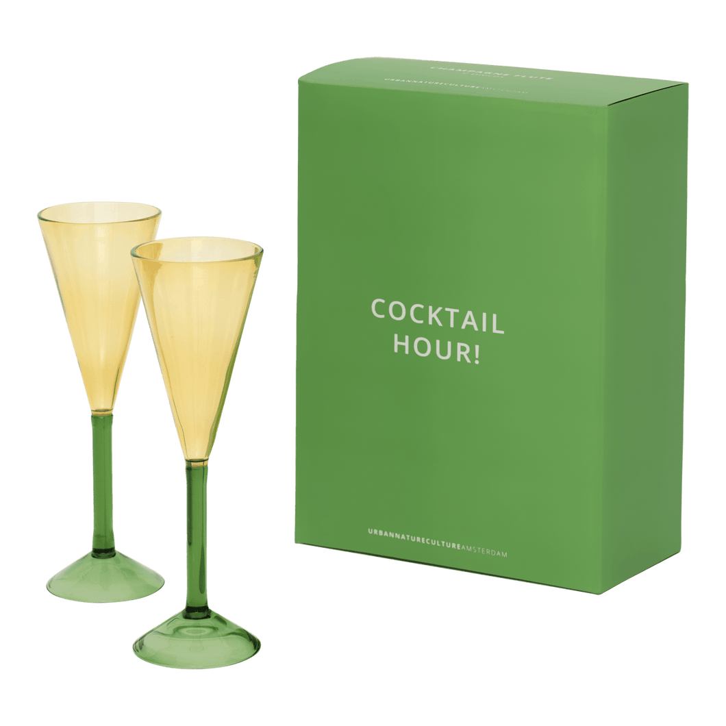 Champagne Flute Glasses Gift Set - Set of 2
