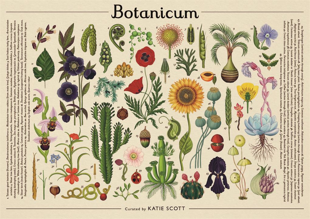Botanicum 1000 Piece Jigsaw Puzzle