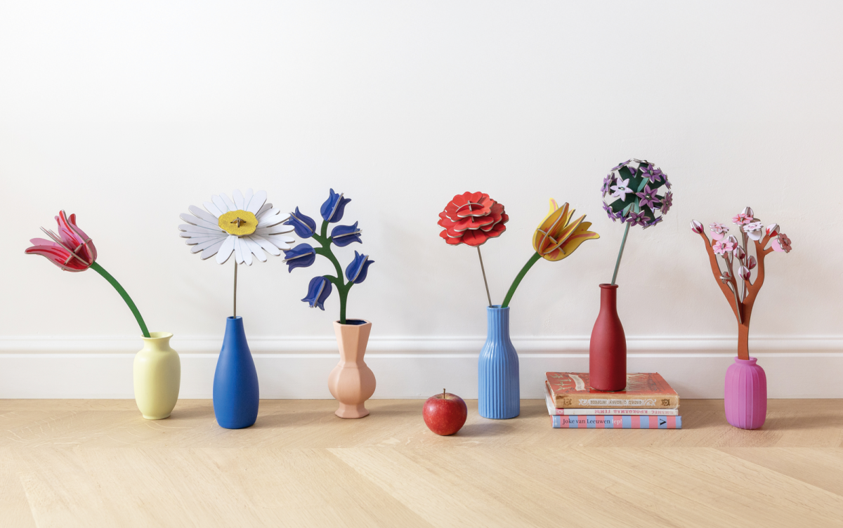Everlasting Flowers - Allium