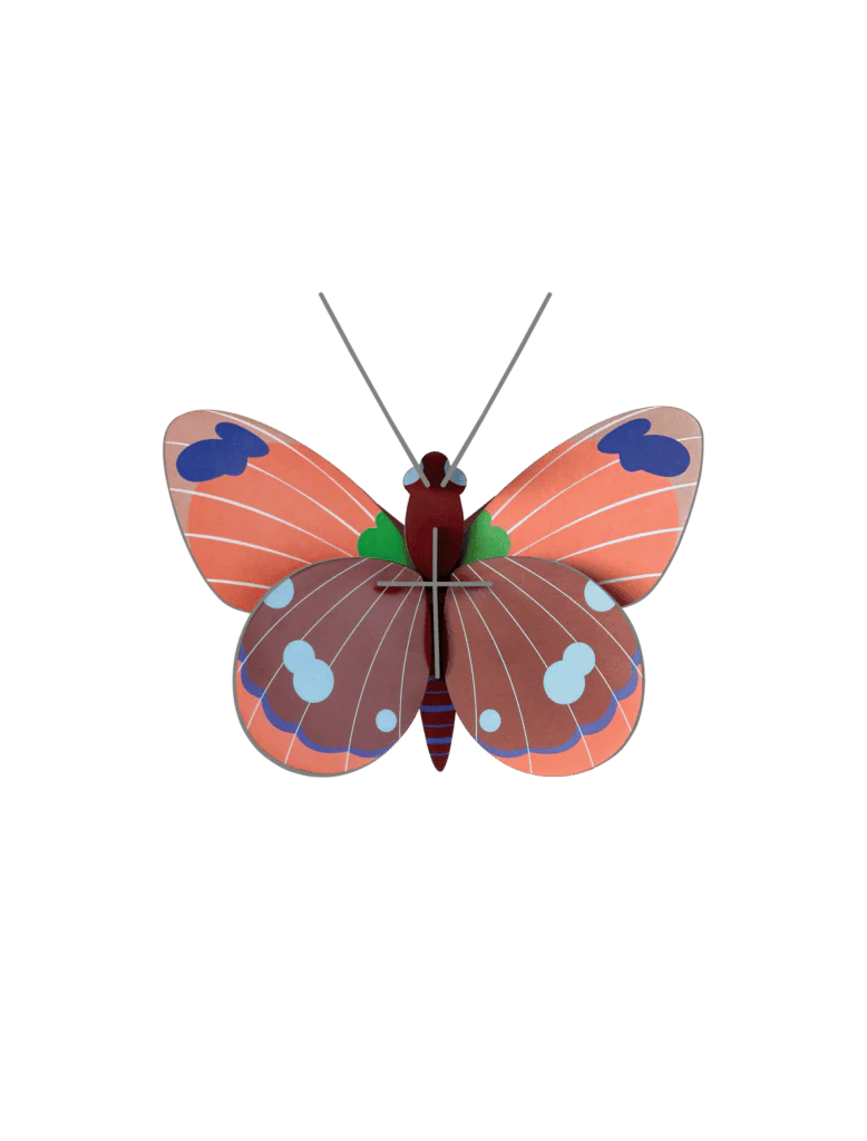Delias Butterfly