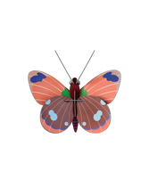 Load image into Gallery viewer, Delias Butterfly
