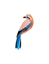 Load image into Gallery viewer, Jay
