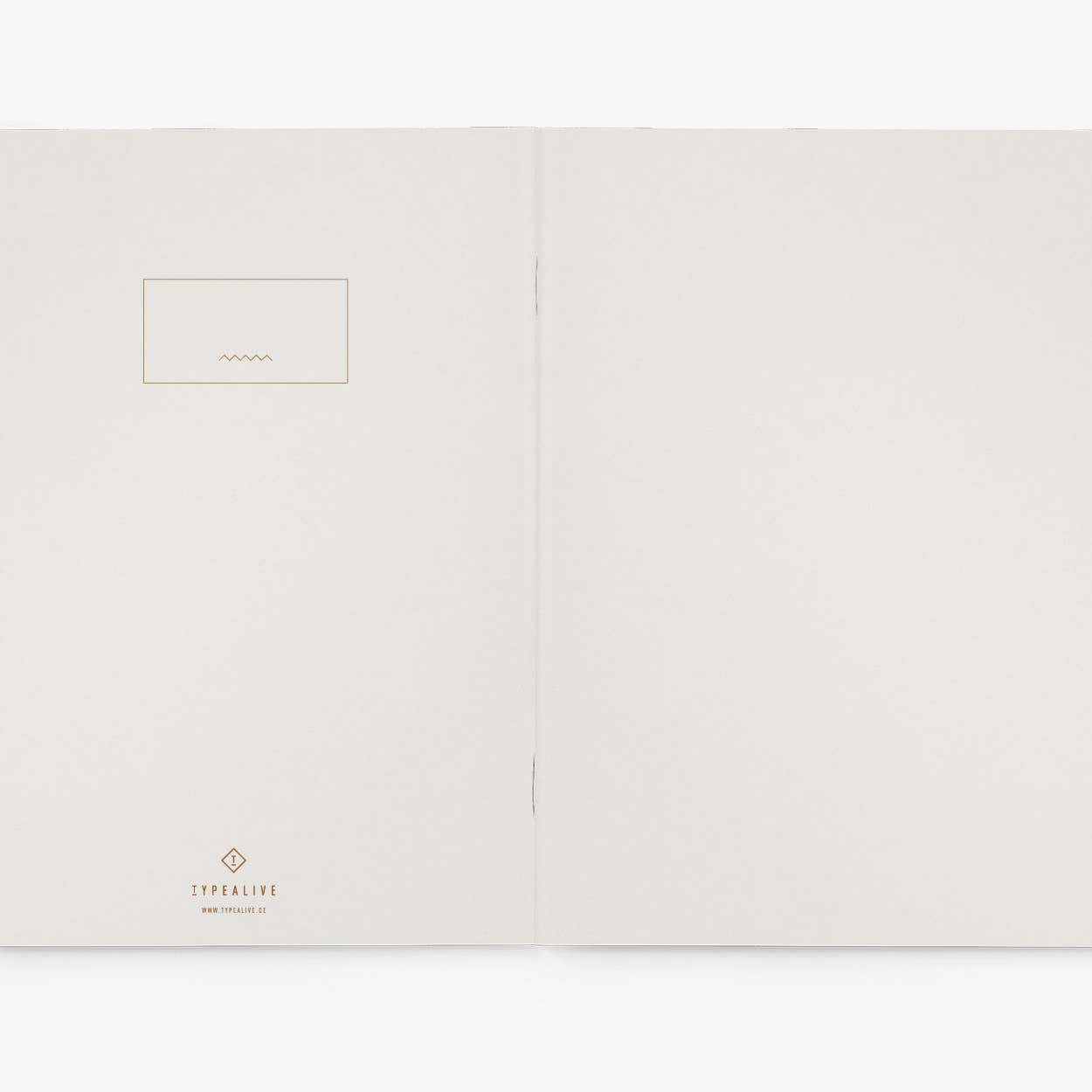 Journal / Feminist Agenda