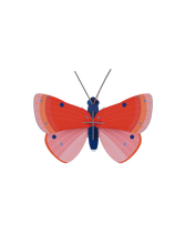 Load image into Gallery viewer, Speckled Copper Butterfly
