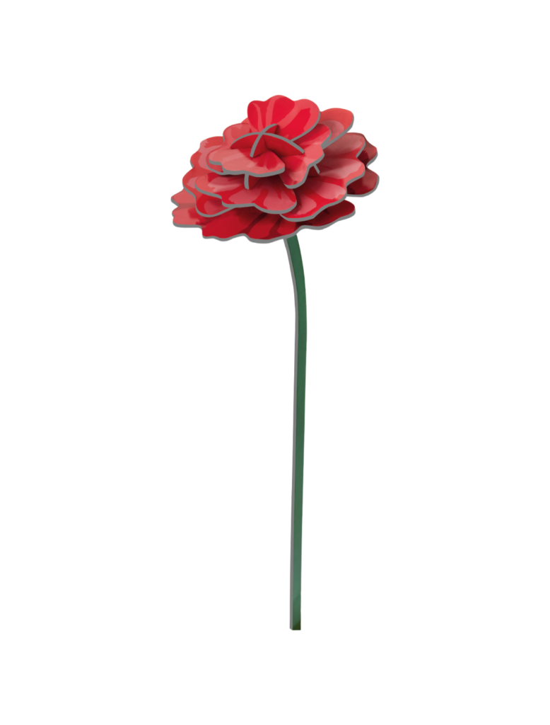 Everlasting Flowers - Rose