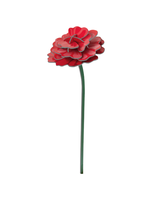 Everlasting Flowers - Rose