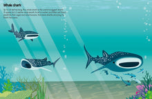 Load image into Gallery viewer, 555 Sticker Fun: Sharks

