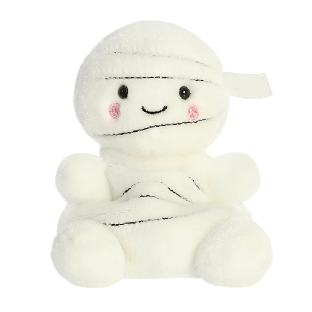 Palm Pal - Brendan Mummy 5in