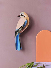 Load image into Gallery viewer, Jay
