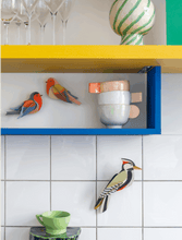 Load image into Gallery viewer, Robins
