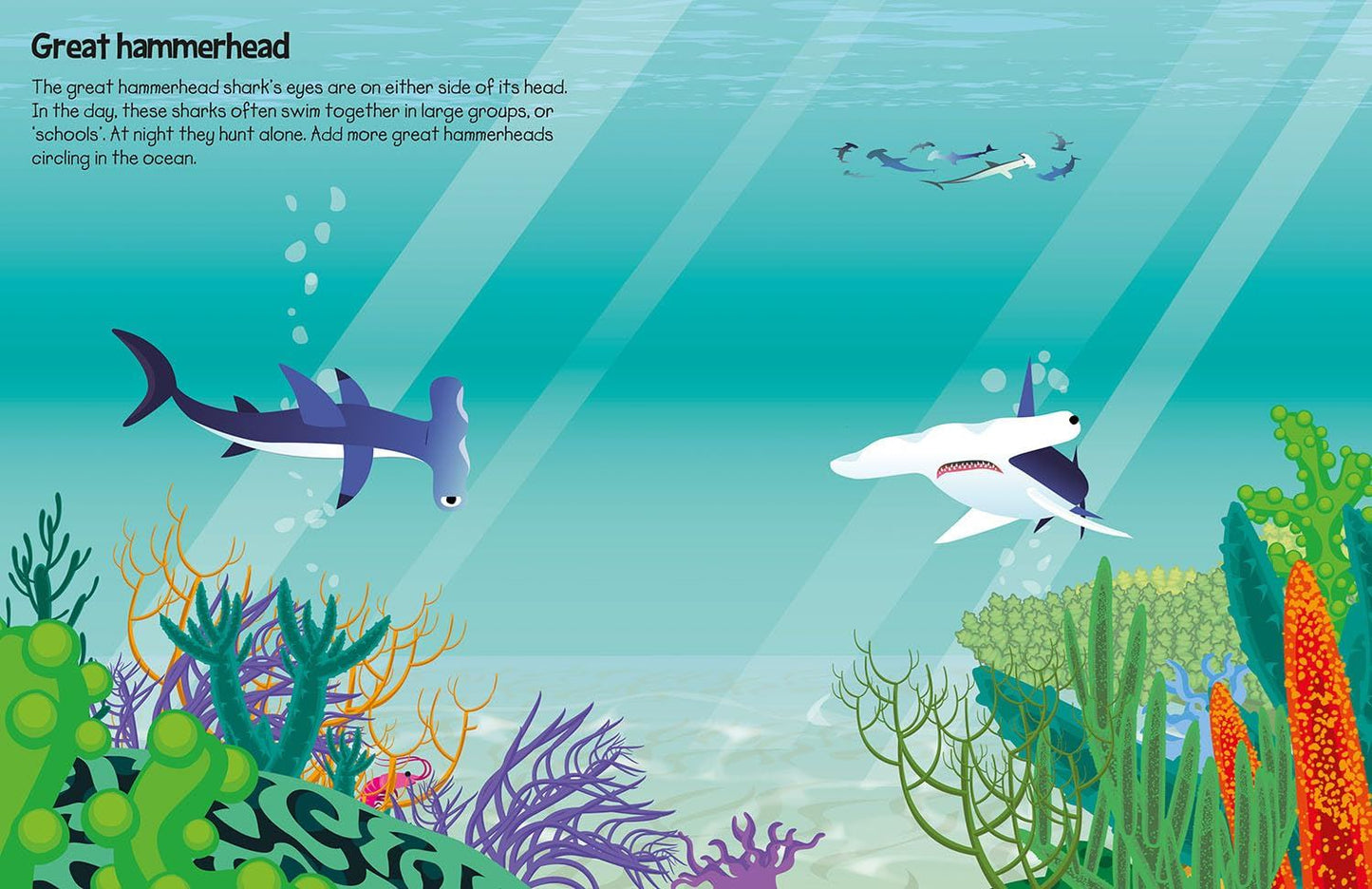 555 Sticker Fun: Sharks