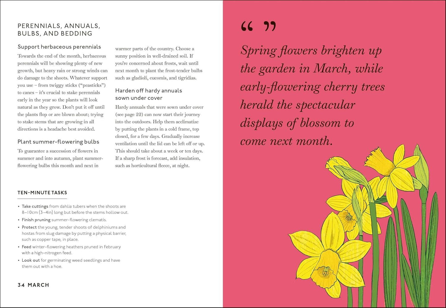 Your Gardening Year : What To Do When