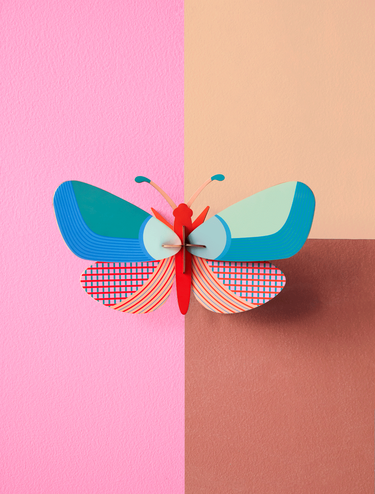 Lily Butterfly