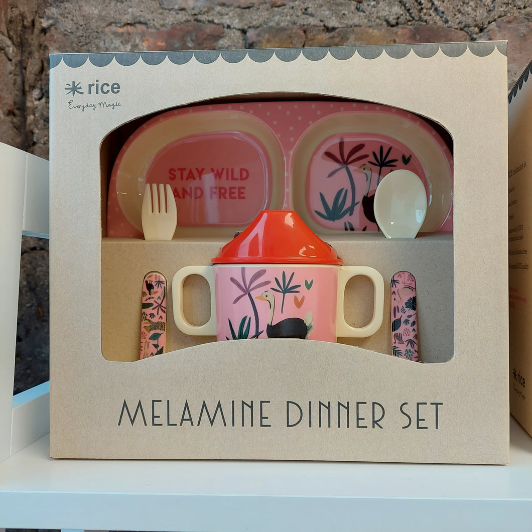 Pink Melamine Dinner Set