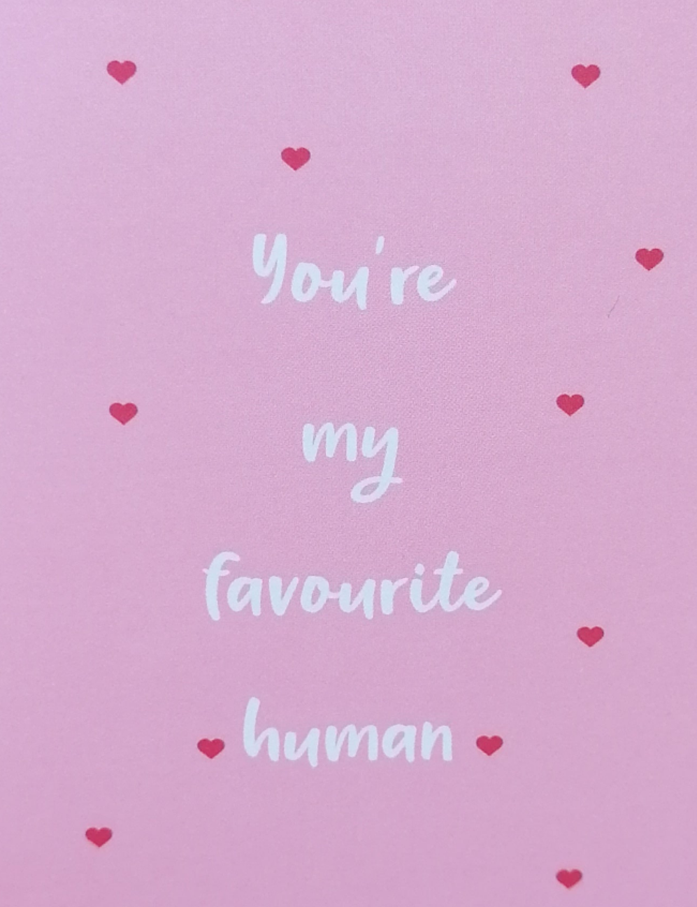 You're my Favourite Human