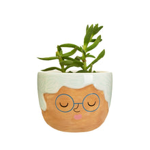 Load image into Gallery viewer, Mini Rose Planter
