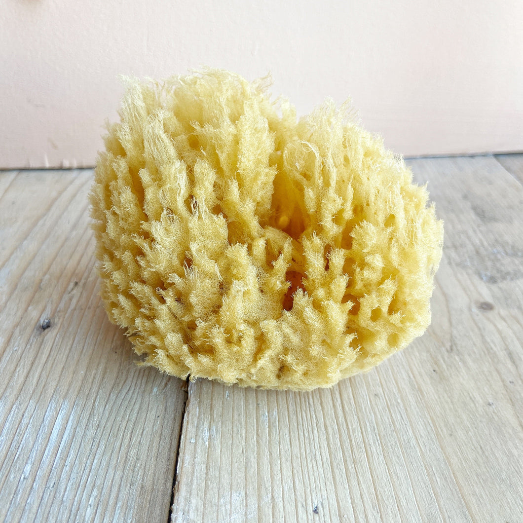 Natural Sponge 9cm