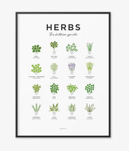 Load image into Gallery viewer, Herbs Print
