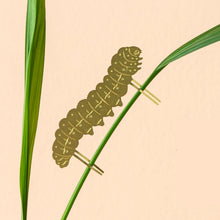 Load image into Gallery viewer, Caterpillar Plant Animal
