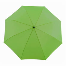 Load image into Gallery viewer, Grass Compact Umbrella
